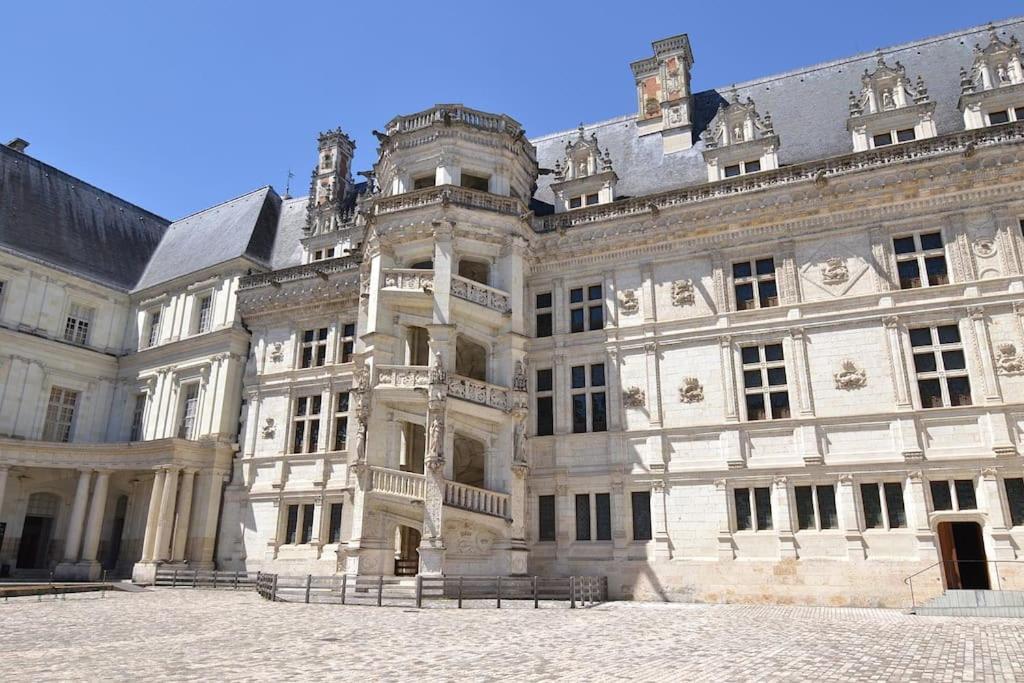 Apartamento La Quintessence - Amboise Hypercentre Exterior foto